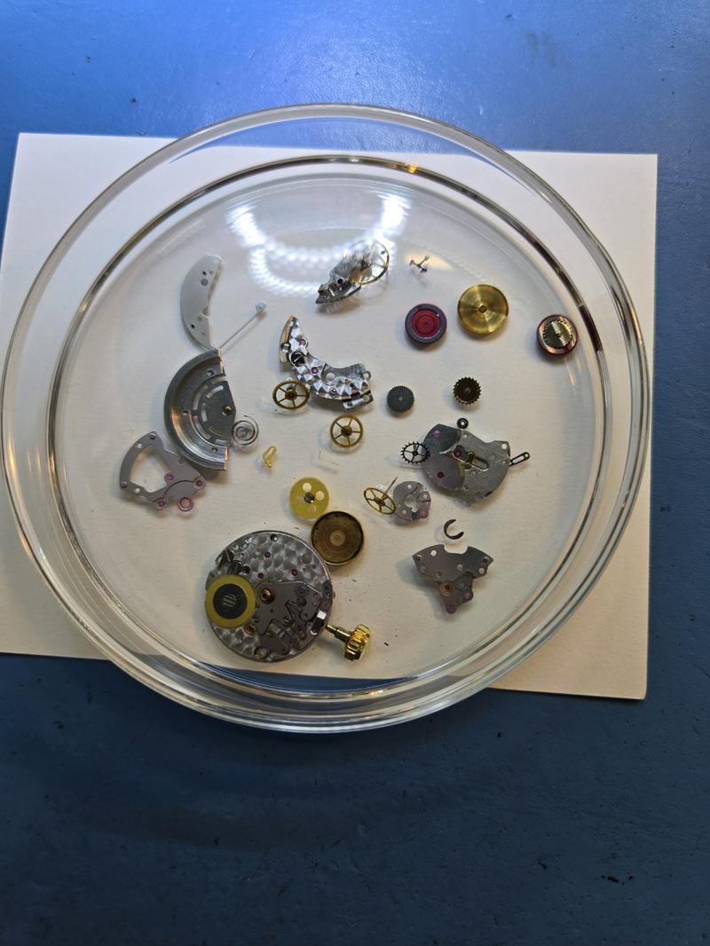 235149625_7aQqVDUy_c30f80119ad32ae4963403dfeb9079ef5c9516a3.jpg 이미지크게보기