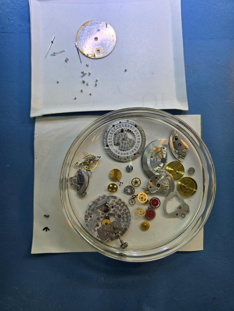 235149625_jTI5wtSf_362dfbb89ce0e12cf33ba54b3dadc3e8a4f42e26.jpg 이미지크게보기